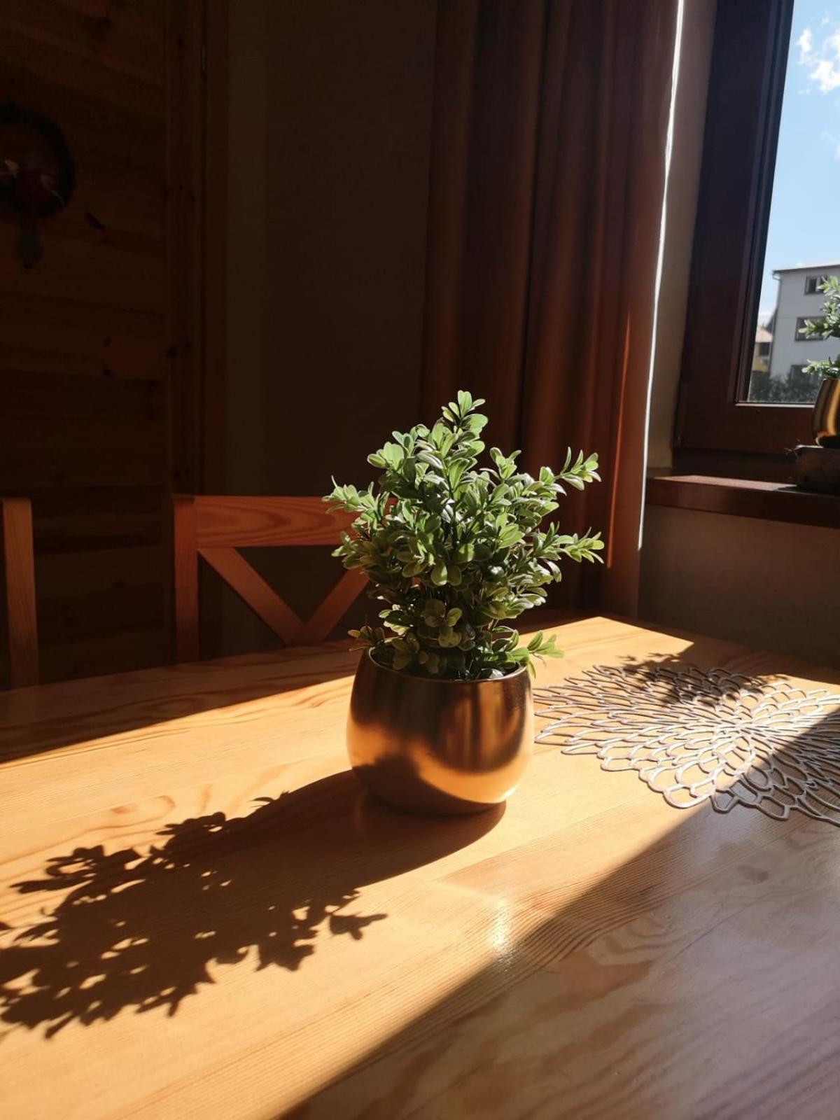 Zwardoniowka Apartamenty Pod Orawcowa Экстерьер фото